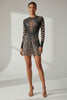 Sheer animal print mini dress front view with round neckline and mixed cheetah and leopard pattern
