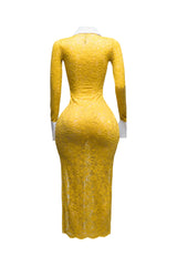 Accent Collared lace maxi dress with slit