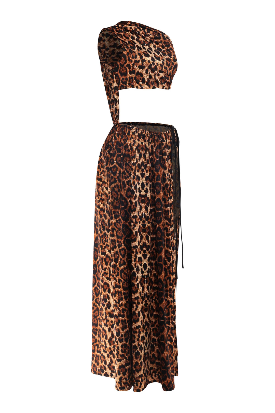 Leopard print strapless top and long skirt set on a white background