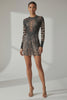 Savage Stare Sheer Animal Print Mini Dress